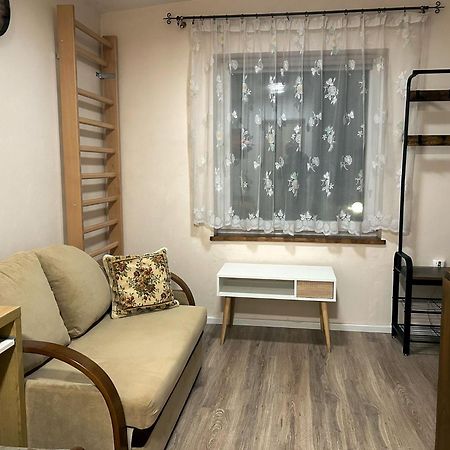 Nowoczesne Studio Z Ogrodem I Parkingiem Познань Экстерьер фото