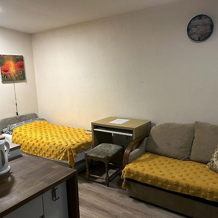 Nowoczesne Studio Z Ogrodem I Parkingiem Познань Экстерьер фото